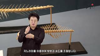 제주민속자연사박물관-척추동물의 골격