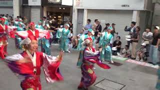 踊り陣 叶和（帯屋町筋会場）2026.08.12 高知よさこい全国大会2026