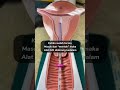 CARA MEMASUKAN KB IUD KEDALAM RAHIM KB SPIRAL DALAM RAHIM Kb Kbiud Tipskbiud Kbspiral
