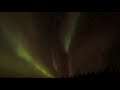 Born In The North NL