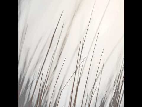 Porya Hatami - White Forest by nikosf