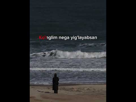 Shohruxxon abdugofurov Alvidolar aytildimi karaoke l#100k #1k #rekkachiq #obuna_bolishni_unutmang !