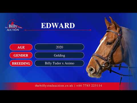 Edward 