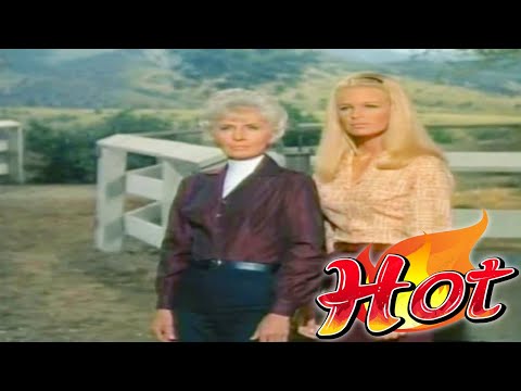 The Big Valley Full Episodes 🎁 Season 3 Episode 15 🎁 Classic Western TV Series