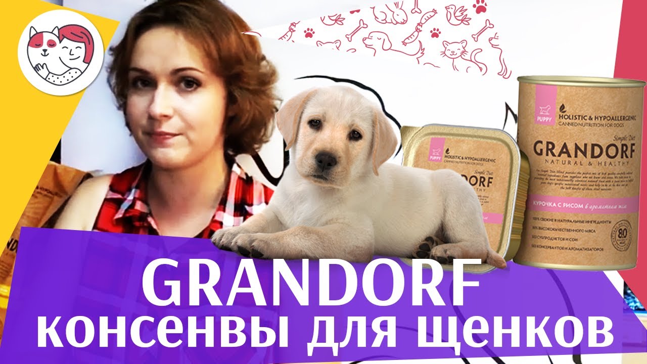 Grandorf консервы для щенков на ilikepet