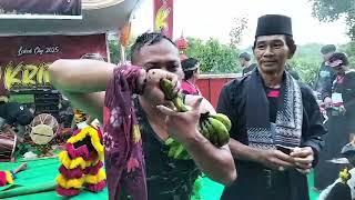 Download lagu Rampak Barong Dan Ganong ikut hadir Di Acara Padepokan Krido Turonggo Seto Acara Pernikahan  mp3