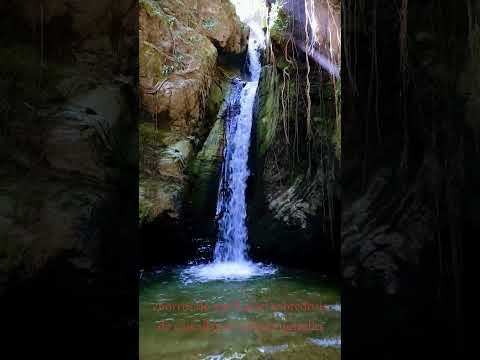 sobredosis de cascadas calarca quindio chorros de san Rafael. #montaña #naturaleza #turismo #travel