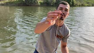 Pesca Magntica com Im De Neodmio.