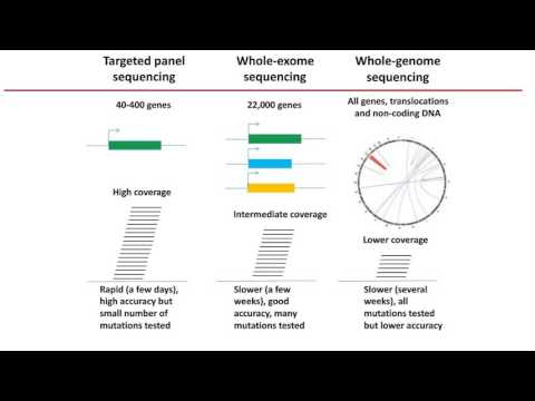 Hanna Rennert -  Validation and Implementation of Whole-Exome Sequencing