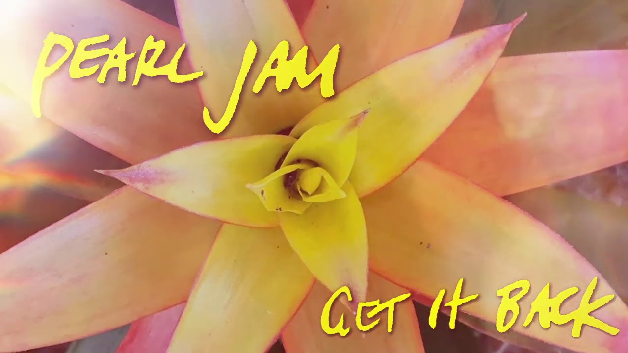 Pearl Jam estrena nueva canción llamada "Get It Back"