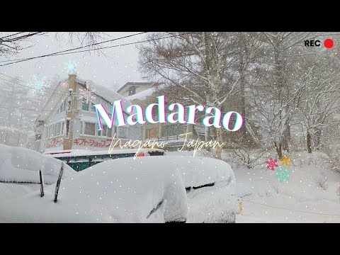 Madarao Powder - Snowboarding in Nagano's Best Slope