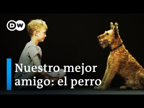 Perros y humanos - Los secretos de una amistad inquebrantable | DW Documental
