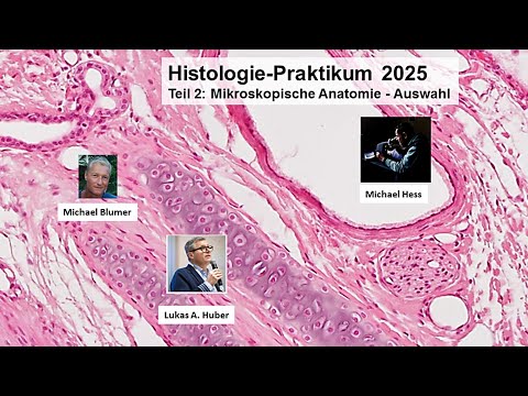 Online Histologie-Kurs Sommersemester 2025  / Tag 4: Urogenitalsystem 2, Plazenta, Haut