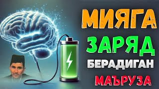 Мияга заряд берадиган маьруза! °Абдуллох Домла°Abdulloh Domla° #ilmnuri ##abdullohdomla #rek #namo