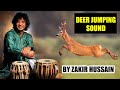 Zakir Hussain Deer Jumping Sound from Tabla with Rajan Mishra | Hiran Daudte huye ki awaz
