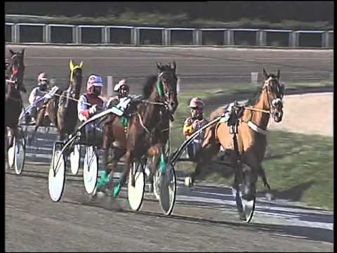 Trotto 07/01/2016 - 1° corsa