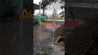 Download lagu hujan hari ini,hujan di malam minggu #shorts #hujanturun mp3 Download lagu hujan hari ini,hujan di malam minggu #shorts #hujanturun mp3