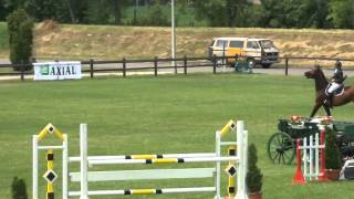 preview picture of video 'Car (Numero Uno x Concorde) at the 2nd qualifier of the 5-year-old horses'