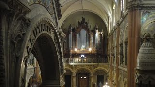 The M. Cavaillé-Coll in Buenos Aires – Adoro te Devote