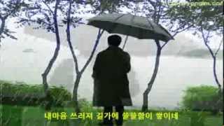 바람꽃 - 비와 외로움
