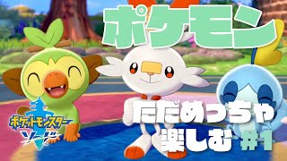 #1 いまさら最初からストーリーめっちゃ楽しむ【ポケモン剣盾】