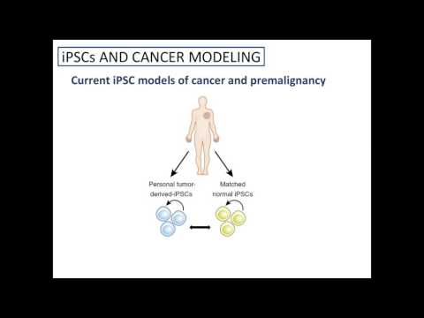 Induced Pluripotent Stem Cells in Cancer Research
