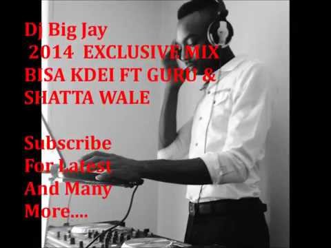 MIX Exclusive 2014 BISA KDEI FT GURU & SHATTA WALE -  Dj Big Jay