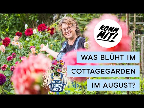 Blumengarten Rundgang im August I der kleine Horrorgarten