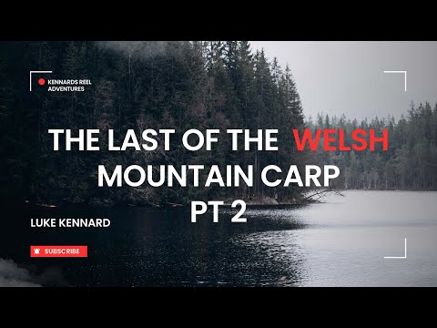 THE LAST OF THE WELSH MOUNTAIN CARP PT2