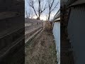 Head gate and chute. #heafnerfarms #farm #angus #farmlife #family #cow #johndeere