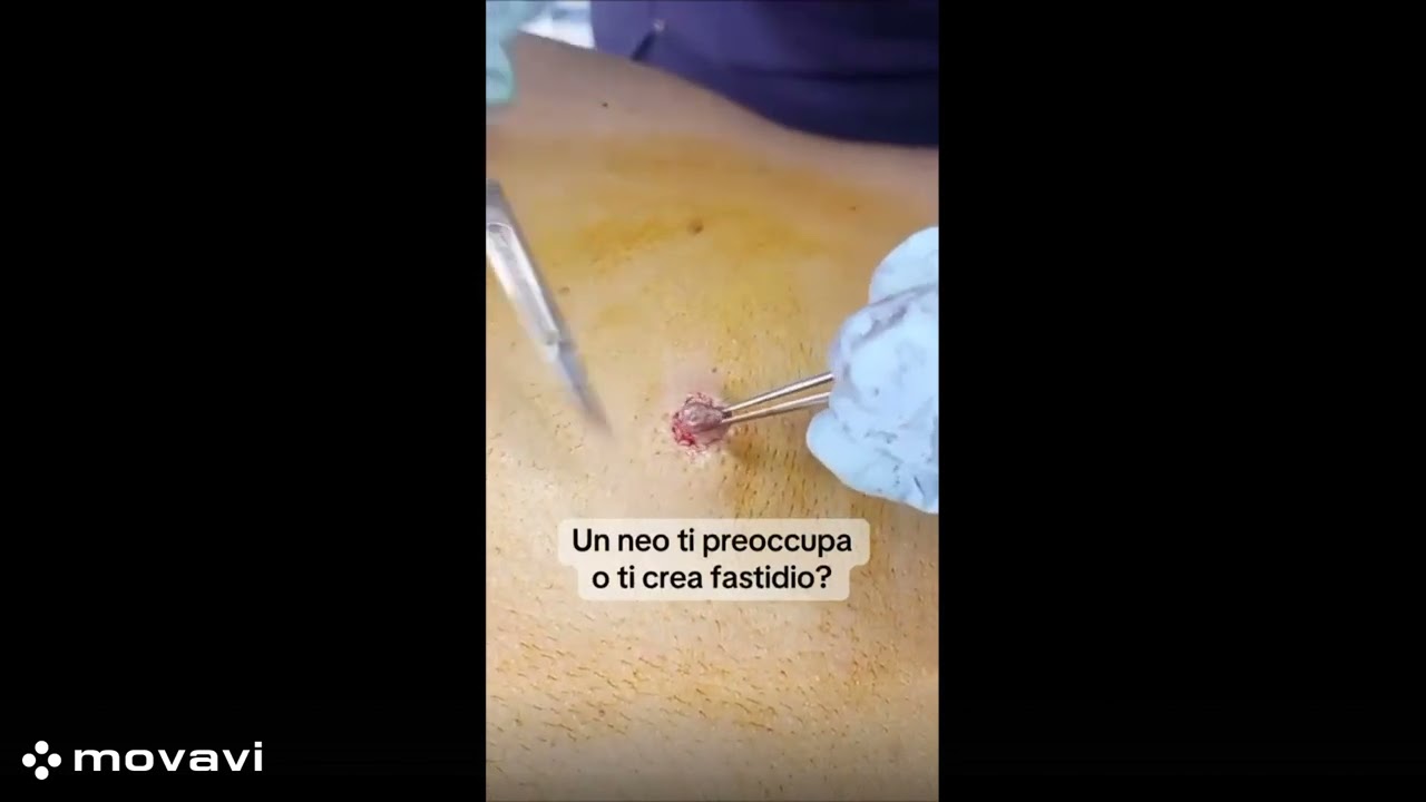 Alexandra Luz Romero Florez-3