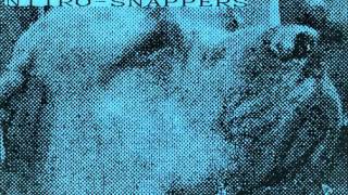 Nitro-snappers -  Portrayed By Mankind