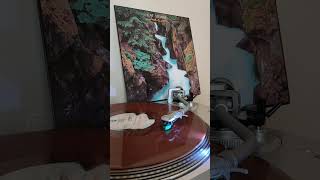 Cat Stevens - Randy + Artist -1978- vinyl