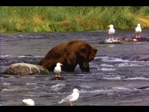 No Halfway Man - George Hutchinson