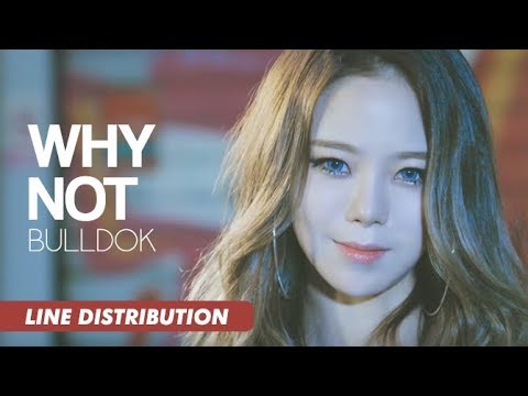 BULLDOK (불독) - Why Not (어때요) | Line Distribution