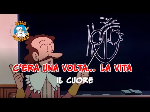 Siamo fatti così... la vita 🌱- Il cuore ❤️