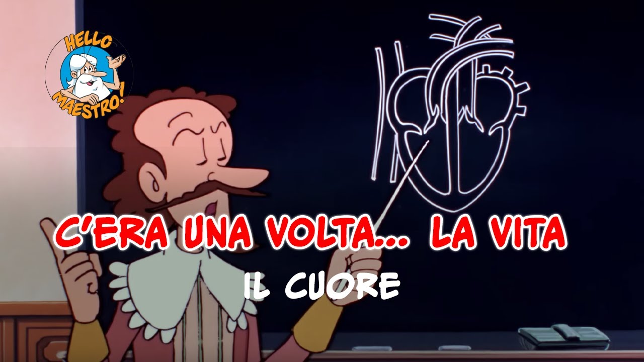 Siamo fatti così... la vita 🌱- Il cuore ❤️