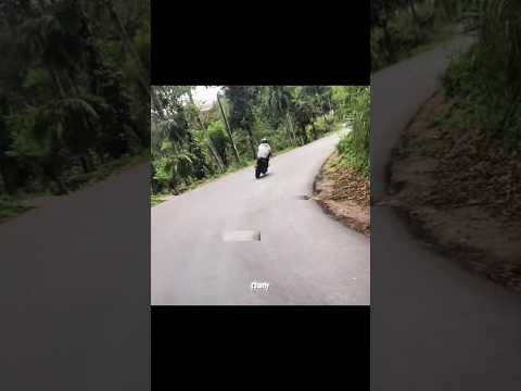 මැරෙන්නෙ නැතුව බේරුනා ඇති 😓#automobile #fz #ns200 #viral #trending #shorts #shortsfeed