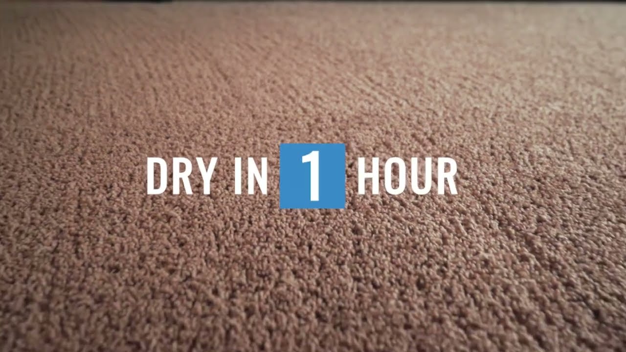 Play Button for Heaven's Best Carpet Cleaning of Northern Illinois - Overview Video