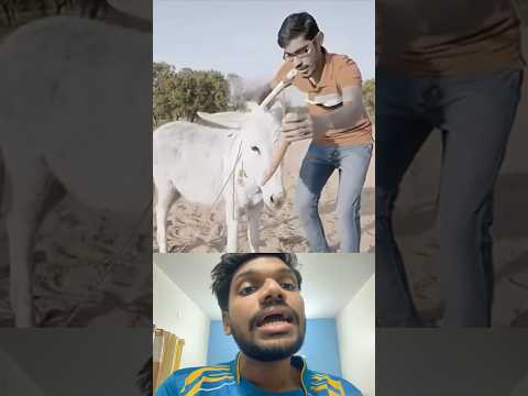Kazhuthayude IQ level ethalle😳🤯🤌📈📈🔥🔥#viralshorts #memes #animals #skills #donkey #kerala #fyp