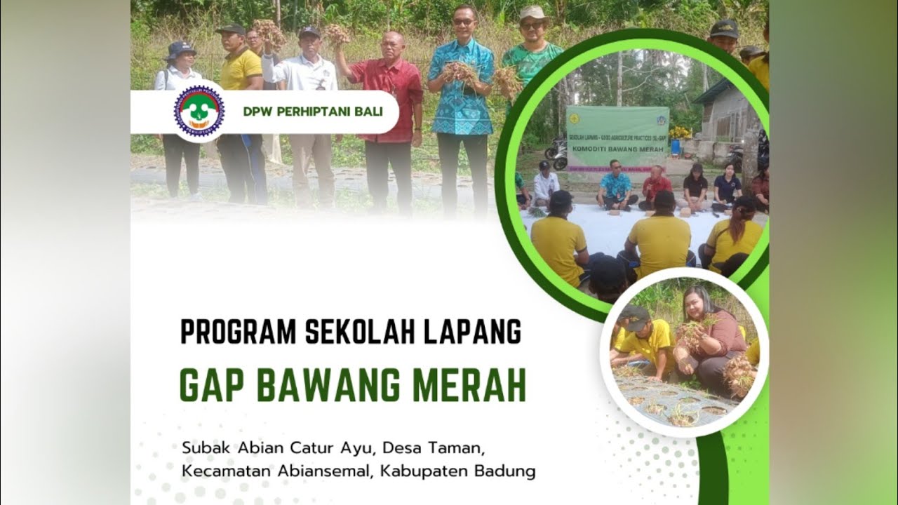 Tanam Bawang Merah Dilahan Kering, Panen Melimpah.