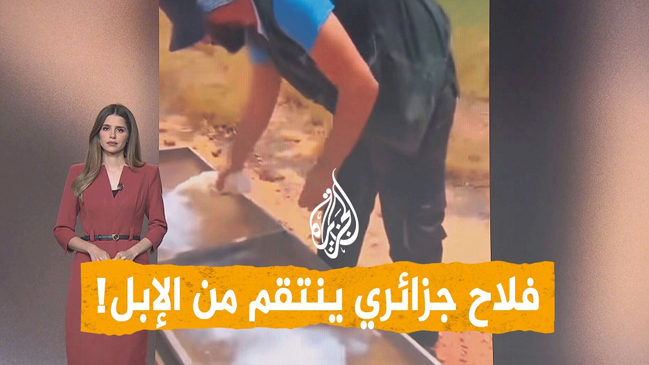 شبكات | فلاح جزائري يسمّم الإبل بالأسيد!