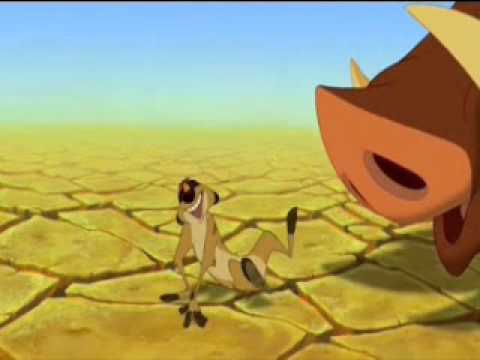 The Great Meerkat Detective part 11 - Timon's Observation