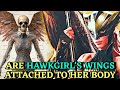 Hawkgirl Anatomy - How Hawkgirl Communicate With Winged Creatures? How Nth Metal Enhances Her Powers