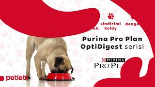 Pro Plan Tahılsız Köpek Mamalarında 1 Alana 1 BEDAVA!