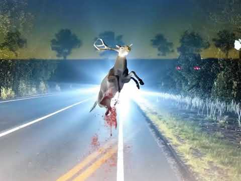 TIEFBASSKOMMANDO - 4 RÄDER