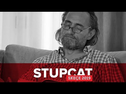 Daja daja daja :P / Stupcat Skeçe 2019 - Daja - gjirafaVideo