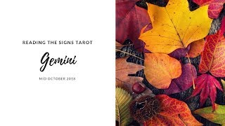 GUT FEELINGS ARE GUIDING YOU GEMINI Mid October 2018