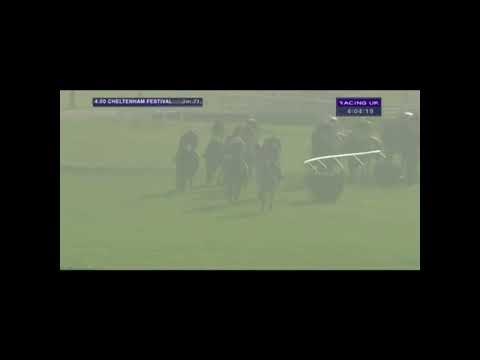 2014 Glenfarclas Cross Country Chase - Cheltenham Festival