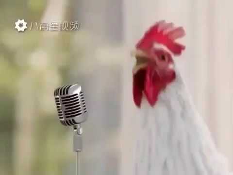 Песня ко ко ко